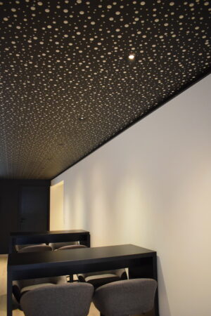 STYX downlight - Image 8