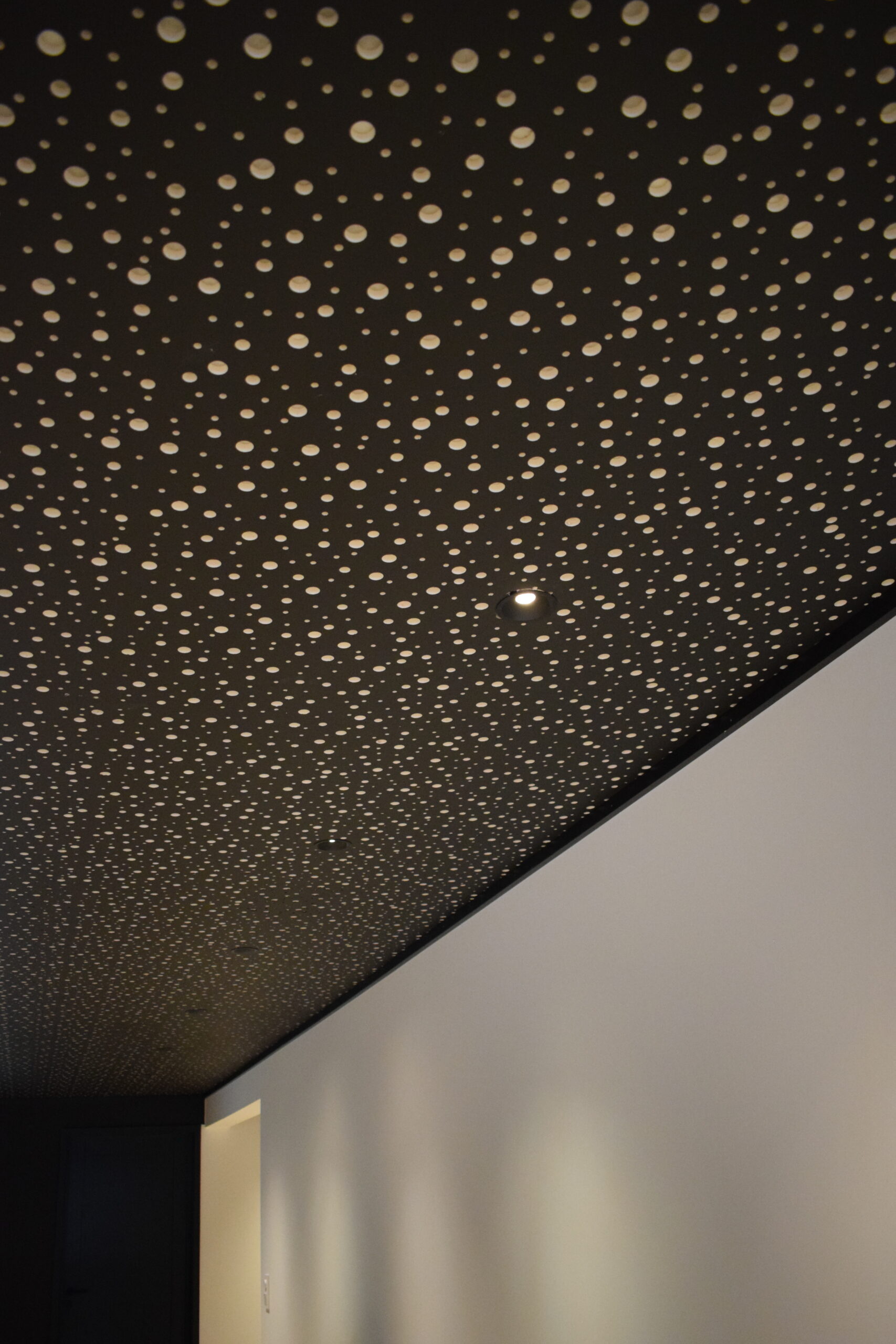 STYX downlight - Image 6