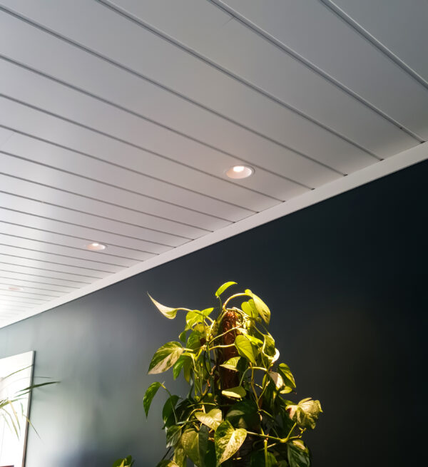 STYX downlight