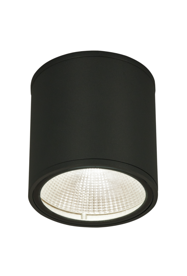 ARGO ceiling lamp