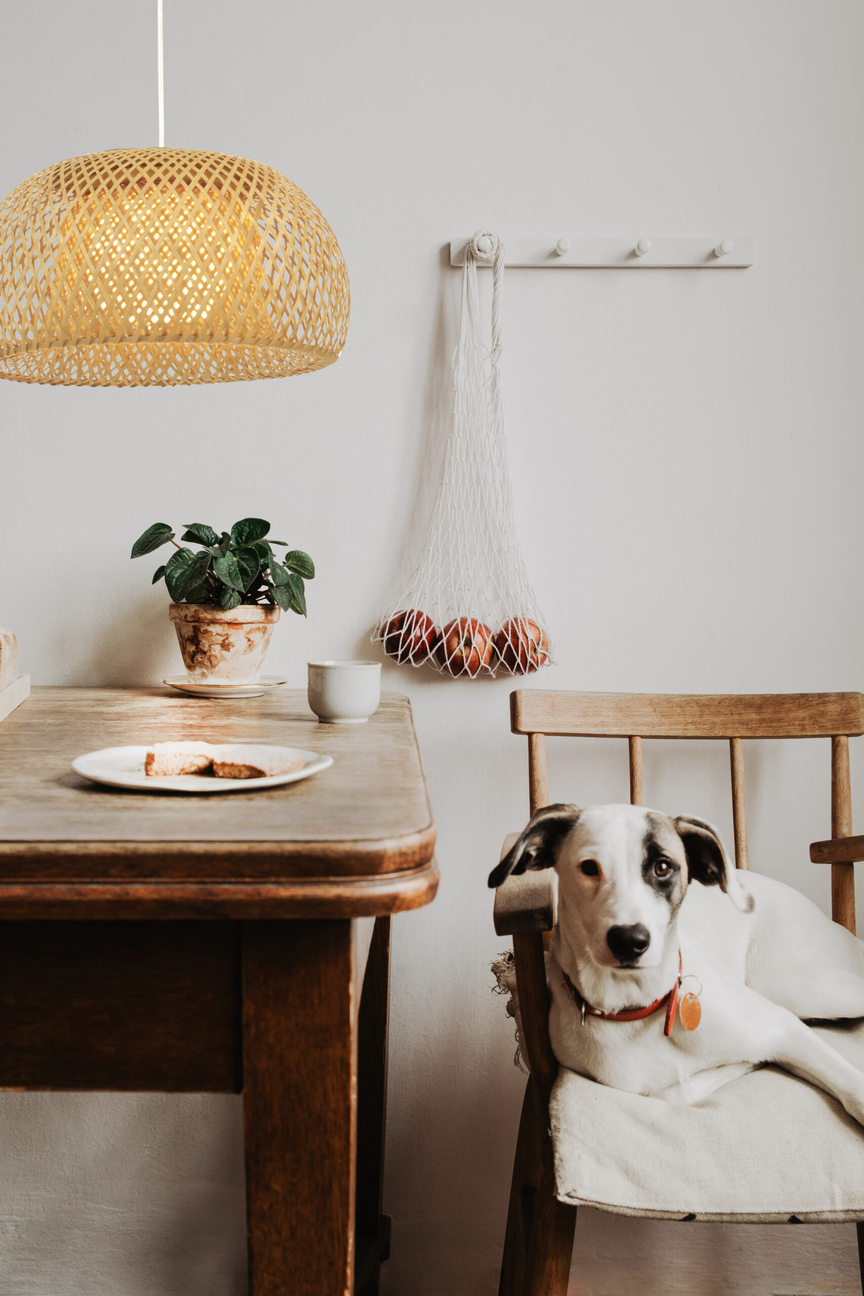 MALACCA pendant lamp Ø38