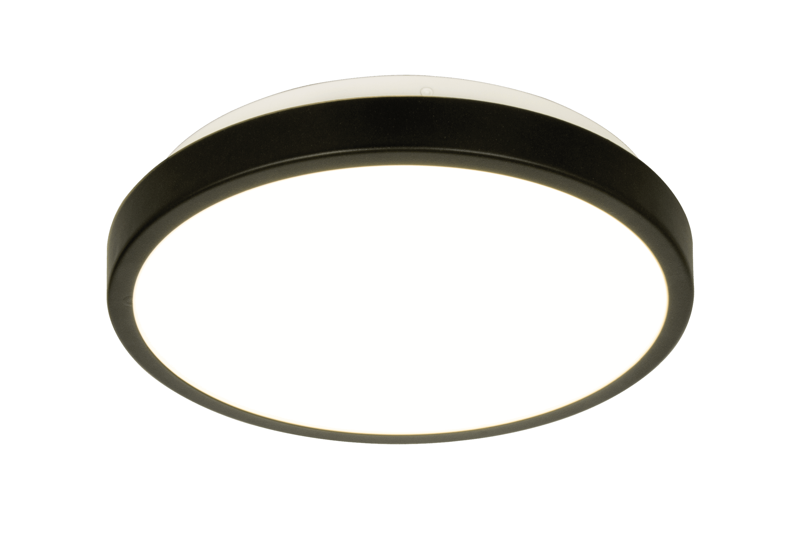 VEROLI ceiling lamp