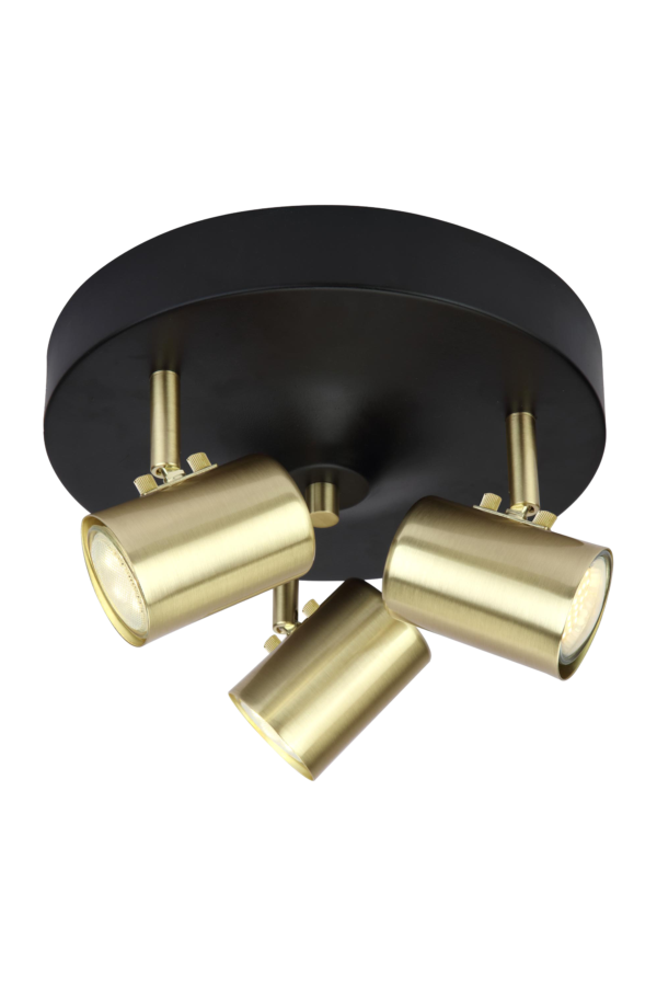 BALDER ceiling spotlight