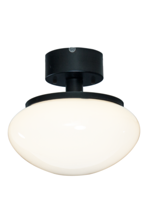 NEW AUGUST ceiling lamp