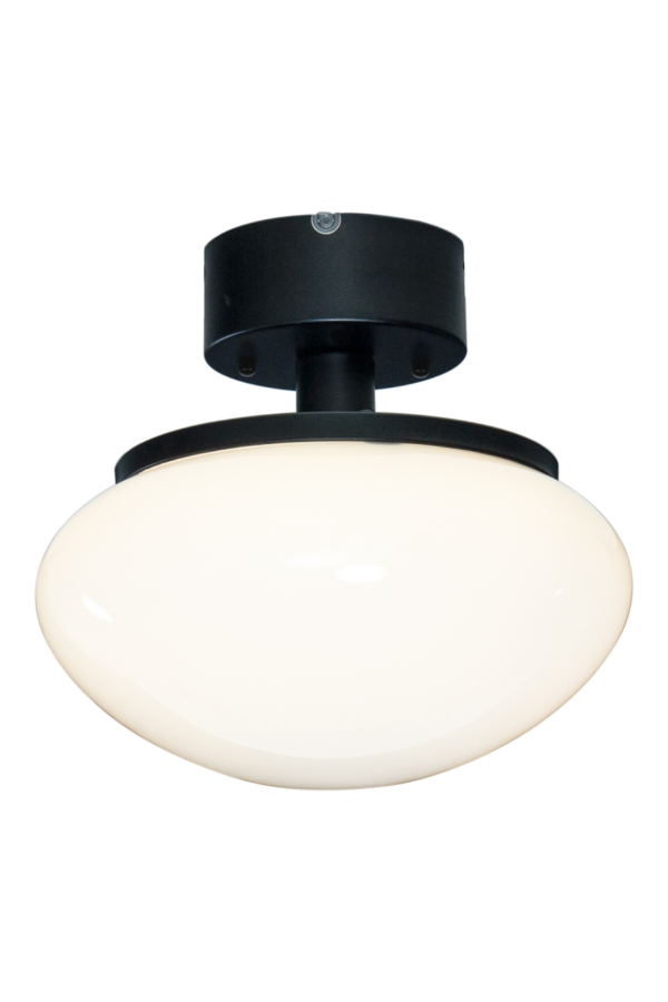 NEW AUGUST ceiling lamp
