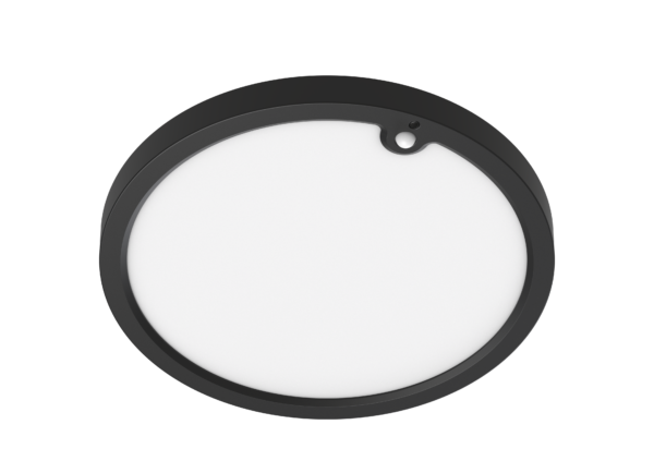 Ring 15/300 Evo PIR