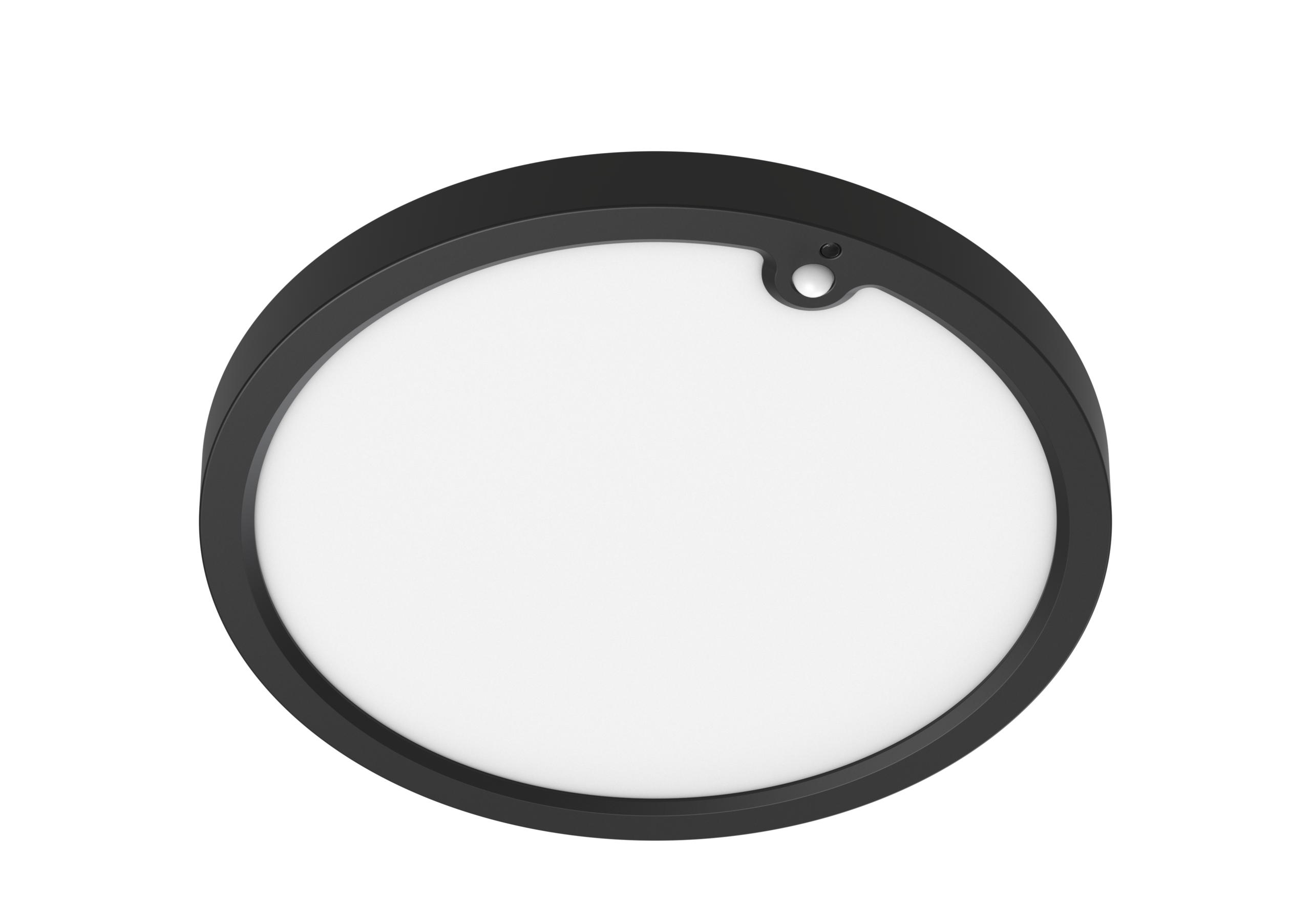 Ring 15/300 Evo PIR
