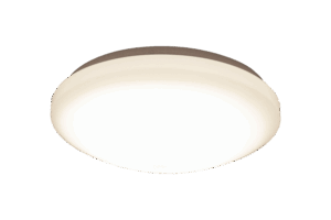BASIC plafond
