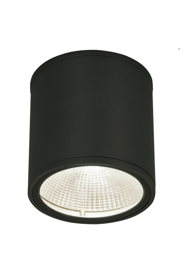 ARGO taklampe