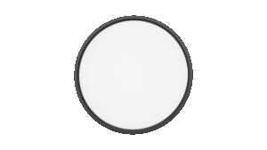 RING 15/300