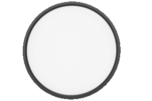 RING 20/400