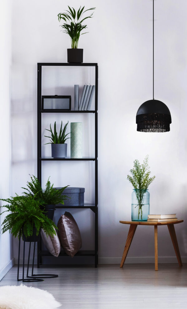 FRANSA taklampe