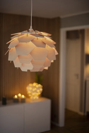 CARPATICA taklampe &Oslash;40 - Bilde 7