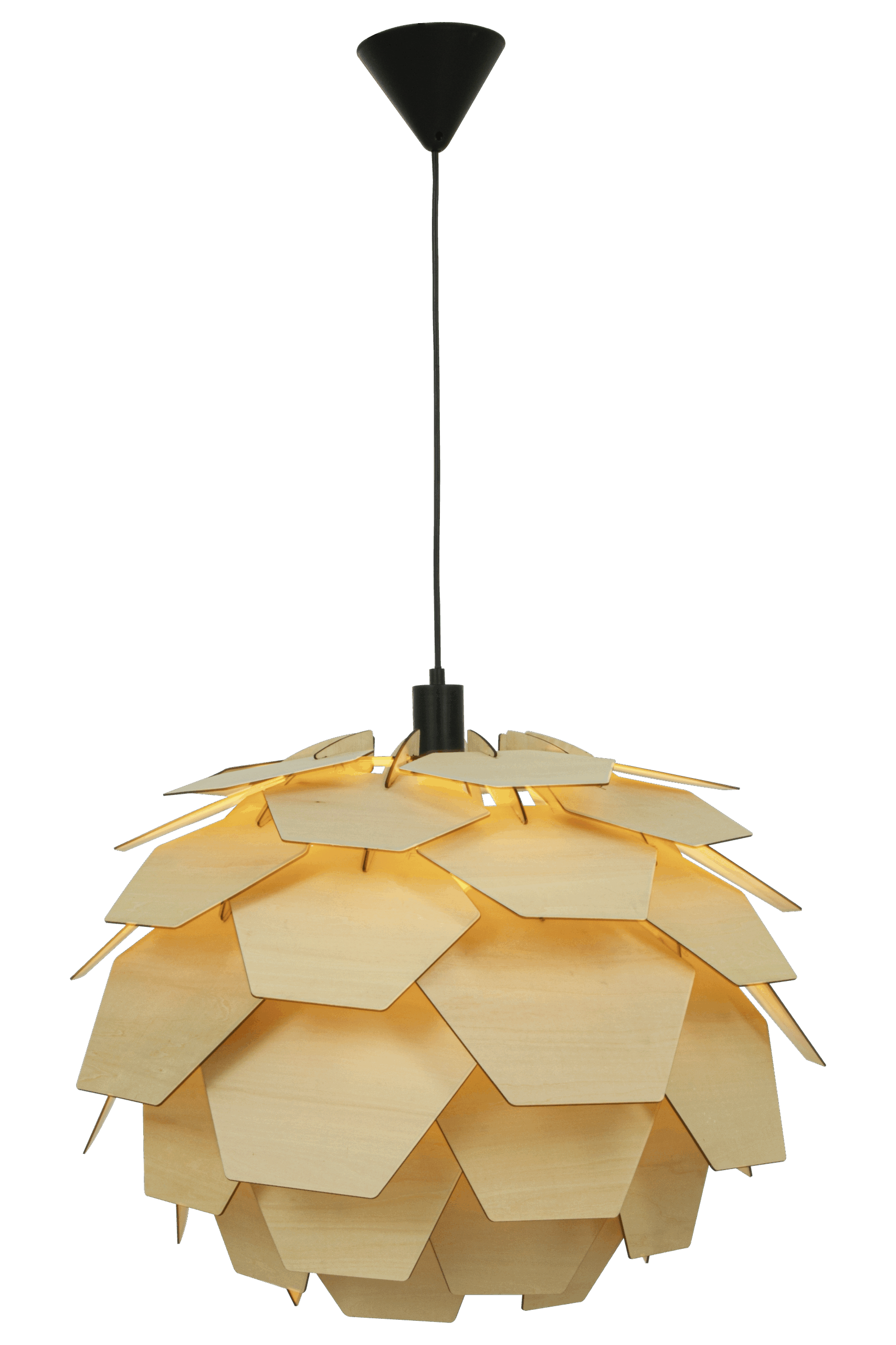 CARPATICA taklampe &Oslash;60