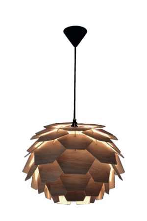 CARPATICA taklampe Ø40
