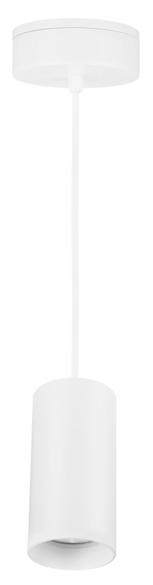 SWAN 14/65 pendant