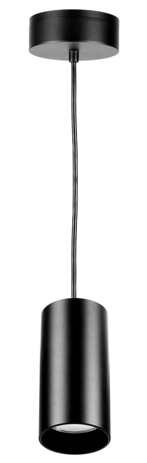 SWAN 14/65 pendant